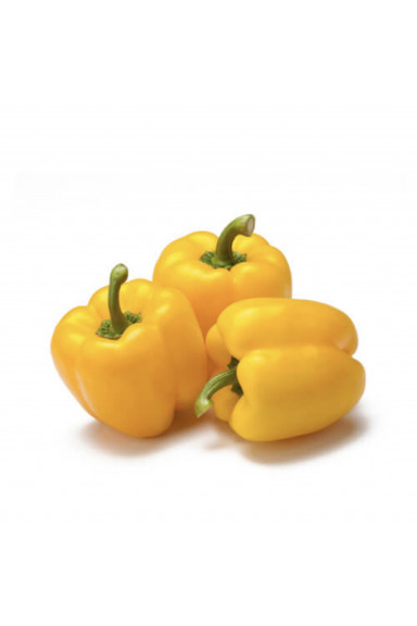 Poivron Jaune Import