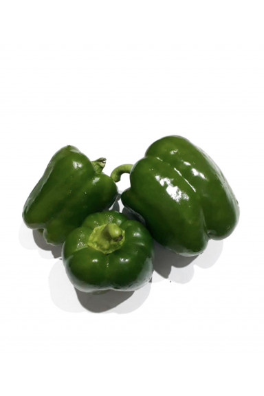 Poivron Vert