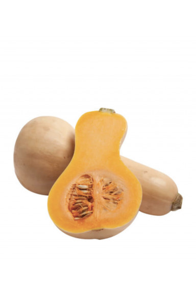 Courge Butternut