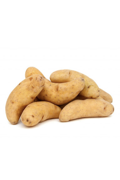 Patate Chair  Orange