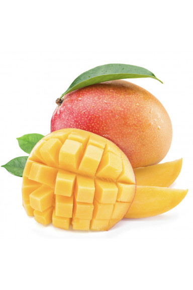 Mangue Kent