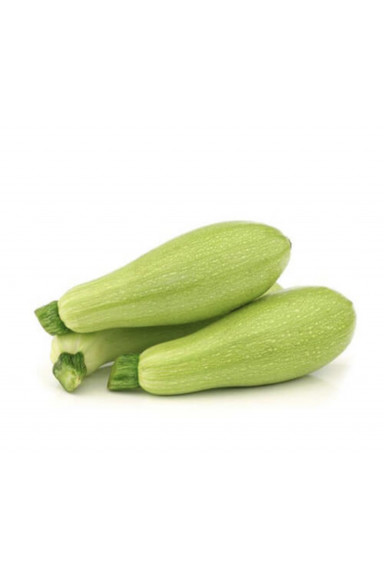 Courgette Blanche
